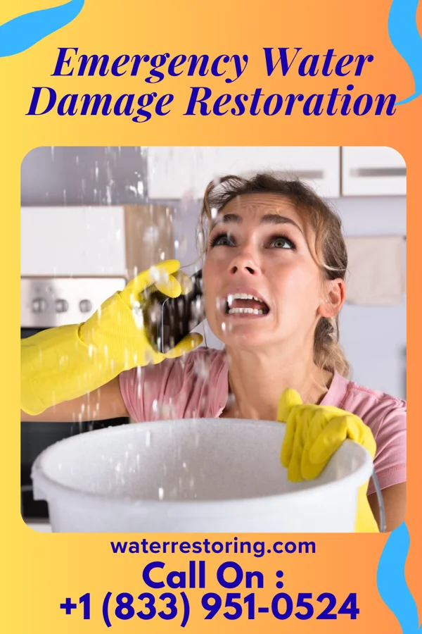 Emergency Water Damage Restoration in Somers, IA
